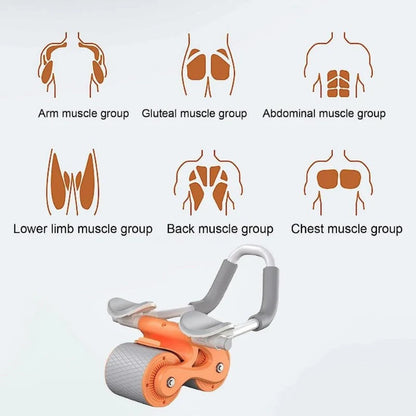 Elrado™ Pro Ab Roller System